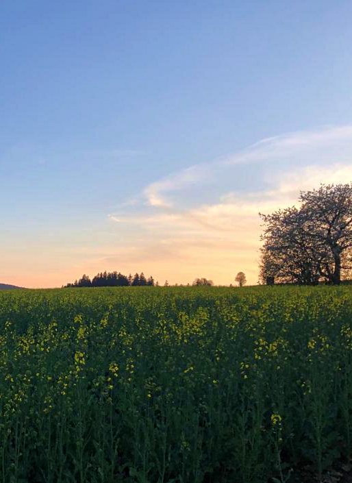 Bild Hofer Land JU Hof-Land