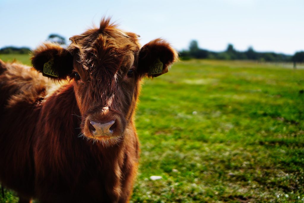 Stärken der Landwirtschaft